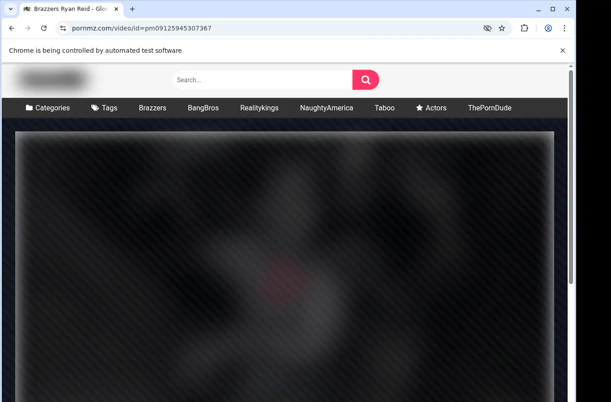 Pornmz Video Downloader screenshot 2