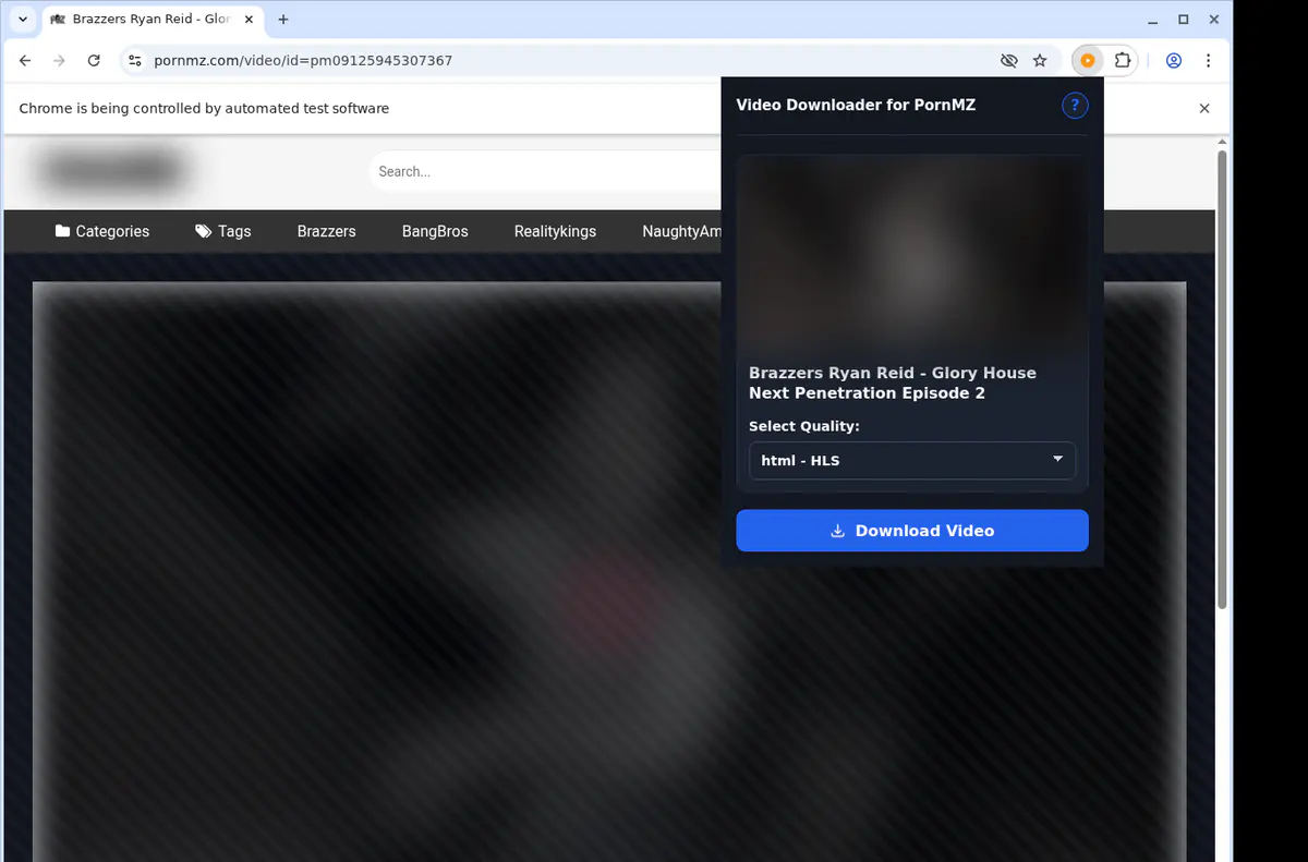 Pornmz Video Downloader screenshot 3